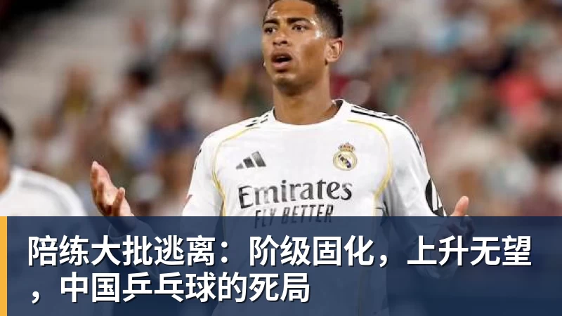 超凡国际陪练大批逃离：阶级固化，上升无望，中国乒乓球的死局